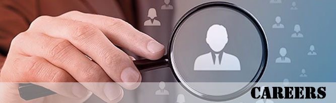 Moonlight Logistics Careers